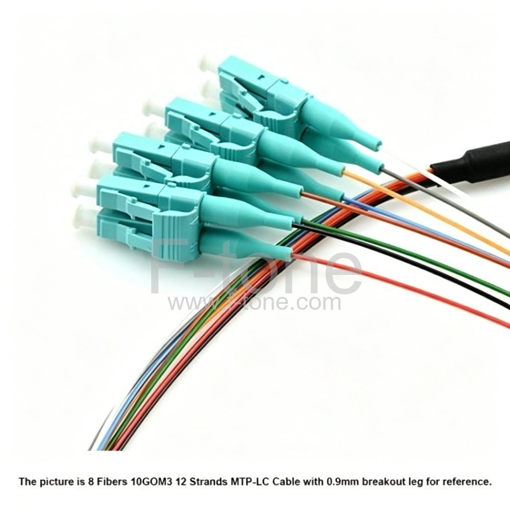 12 芯 OM4 多模 12芯每股 MTP-LC 线束光纤跳线 3.0mm LSZH/Riser