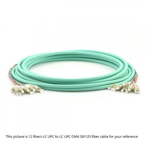 24 芯 LC - LC OM4 50/125 多模多芯预接式分支干线光纤跳线