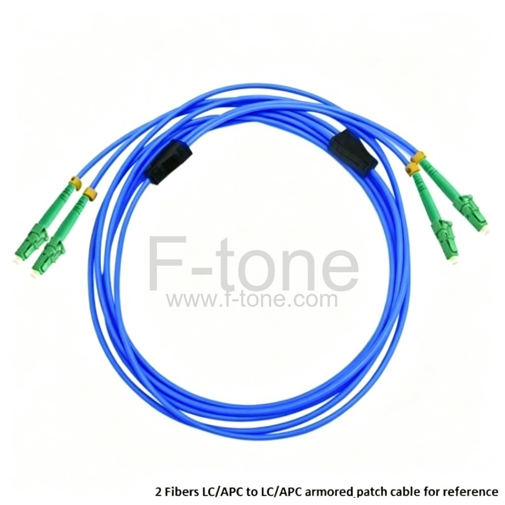 定制 FC - FC 6 芯单模 9/125 铠装分支光缆 3.0mm 分支